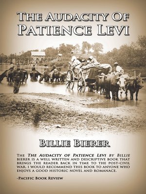 cover image of The Audacity of Patience Levi